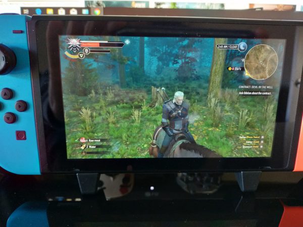 The Witcher and Roach on the move