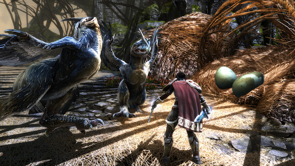 Kingdoms of Amalur Birds!