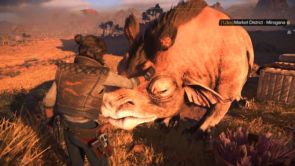 Star Wars: Outlaws - yes, you can pet the WTF